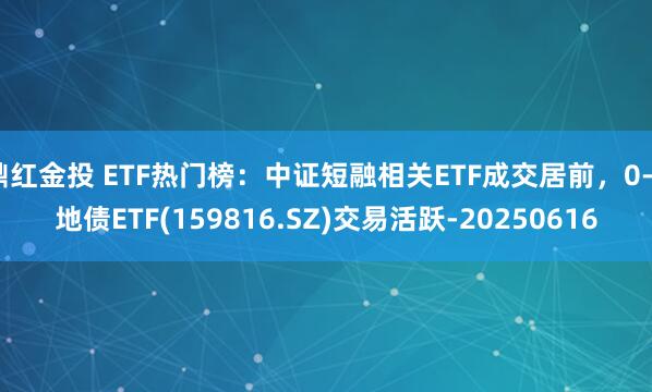 鼎红金投 ETF热门榜：中证短融相关ETF成交居前，0-4地债ETF(159816.SZ)交易活跃-20250616