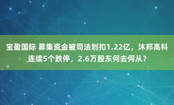宝盈国际 募集资金被司法划扣1.22亿，沐邦高科连续5个跌停，2.6万股东何去何从？