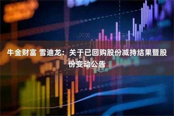 牛金财富 雪迪龙：关于已回购股份减持结果暨股份变动公告