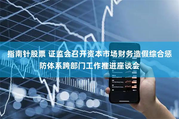 指南针股票 证监会召开资本市场财务造假综合惩防体系跨部门工作推进座谈会